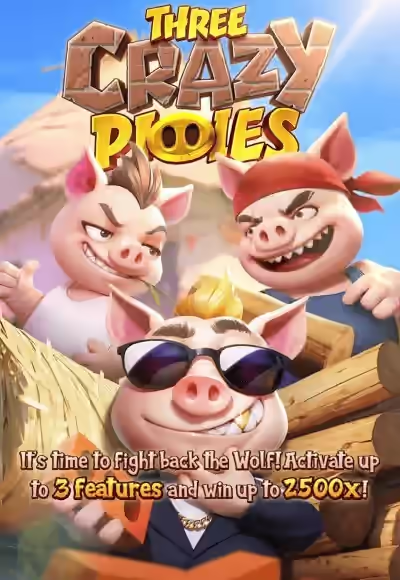 Three-Crazy-Piggies
